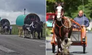 Live Facial Recognition Deployed at Appleby Horse Fair for First Time
