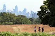 London Heatwave Forecast: Temperatures to Rise Steadily Through Late June