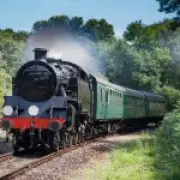 Magical £10 Wine Train from London: Vineyard Tours in Kent