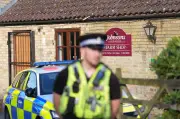 Man Bailed After Boy in Crocodile Enclosure Incident