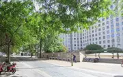 Man Critical After Gang Attack on London's South Bank