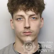 Man held pellet gun to partner's head in campaign of abuse