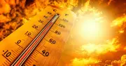 Met Office Confirms New UK Heatwave This Weekend: 'Increasingly Likely'