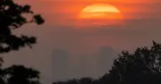 Met Office Red Extreme Heat Warning: 36 Counties Told to Stay Indoors 11am-3pm