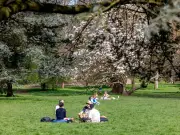 Met Office Wales Extreme Heat Warning: 31°C Expected Next Week