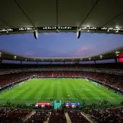 Mexican Fan Apologizes for Racist Gesture at World Cup Match