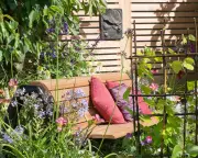 Midsummer Gardening: Plan Your Garden's Sunny and Shady Spots