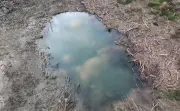 Minnesota Woman Rescued After Days Trapped in Mud Pit