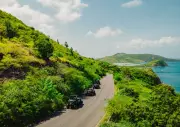 Missing Cruise Passenger Found Dead on St Kitts After Disappearance