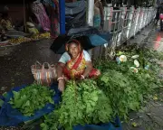 Monsoon Season Brings Vital Rainfall to Parts of Asia