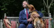 Monty Don Reveals Exact Time to Prune Hedges to Protect Nesting Birds