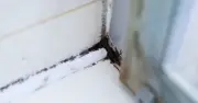 Mould Vanishes in 1 Hour with 2 Natural Ingredients, Not Bleach