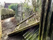 Neighbour's Garden Damaging Fence: Legal Rights Explained