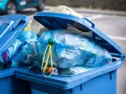 Neighbour's rubbish in my bin? I got the best revenge