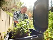 New Bin Rules: Councils No Longer Must Collect 10 Garden Items