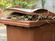 New Garden Recycling Rules: What You Can No Longer Put in Your Bins