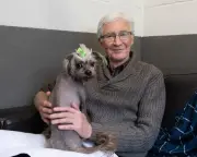 New Play About Paul O'Grady's Rise to National Treasure to Premiere