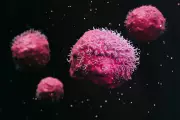 New 'Wonder Pill' Shrinks Tumors by 30% in Six Cancer Types