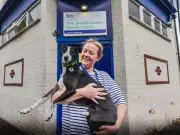 Newcastle Centre Shapes National Policy for Homeless Pet Owners