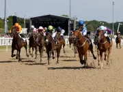 Newcastle Racecourse Implements Special Measures for Horses on Hottest Plate Day