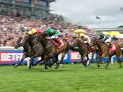 Newsboy's Horse Racing Selections for Wednesday: Epsom Nap and Thirsk Tip