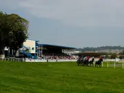 Newsboy's Horse Racing Selections: Tuesday Tips Including Phantom Gold Nap