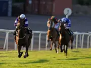 Newsboy's Monday Racing Tips: Punchbowl Flyer Nap, Roaring Ralph NB