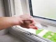 NHS Urges Households to Close Windows Amid High Pollen Levels