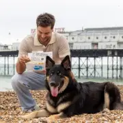 Nine in 10 Pet Owners Would Grieve Lost Pet Like Family