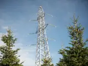 Northern Powergrid Invests £2.8bn in North East Power Lines Amid Missed Targets