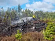 Northumberland Extremely Vulnerable to Wildfires Amid Heatwave Warning