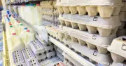 Nutritionist Advises Shoppers to Check Little-Known Code on Eggs Before Buying