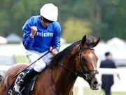Ombudsman Delivers 'One of the Great Performances' to Beat Arc 1-2 in Royal Ascot