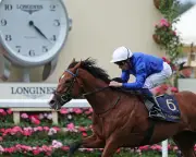 Ombudsman Dominates Prince of Wales's Stakes at Royal Ascot