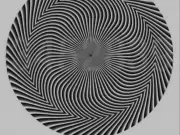 Optical Illusion Sparks Online Debate Over Hidden Numbers