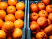 Oranges vs Tangerines vs Clementines vs Satsumas vs Mandarins: Key Differences