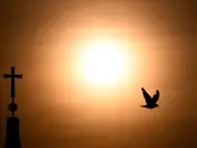 Over 1,300 Deaths Linked to European Heatwave: WHO