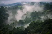 Papua New Guinea Faces Food Shortages as El Niño Brings Frost and Drought