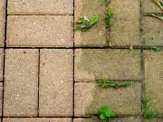 Patio Stains Gone in 10 Minutes with This One Household Item