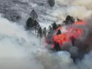Peak District Wildfire Ravages Moorland Amid Record UK Heatwave