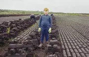 Photographer Explores Tension Between Peat Bogs' Role and Environmental Impact in Ireland