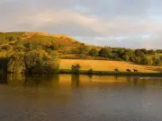Plans for Gym and Saunas at Dare Valley Country Park Submitted