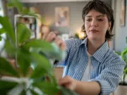 Plant Expert's Watering Trick to Keep Houseplants Thriving in Heatwave