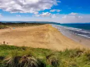 Police Respond to 'Knife' Reports at Beach, Find Barbecue Prep