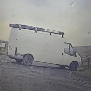 Police Seek Van After Dog Attack on Northumberland Beach