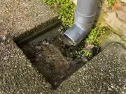 Pour washing up liquid down drain to prevent flooding, experts urge