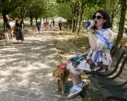Pregnant in Paris: Surviving Record Heatwave While Seven Months Pregnant