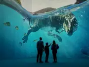 Prehistoric Planet Immersive Dinosaur Show Coming to Manchester Aviva Studios