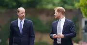 Prince Harry and William's Feud at 'All Time High' After UK Move