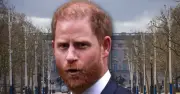 Prince Harry Humiliated as Royal Security Insider Exposes 'Nonsense' Claim